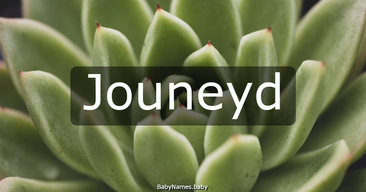 Jouneyd