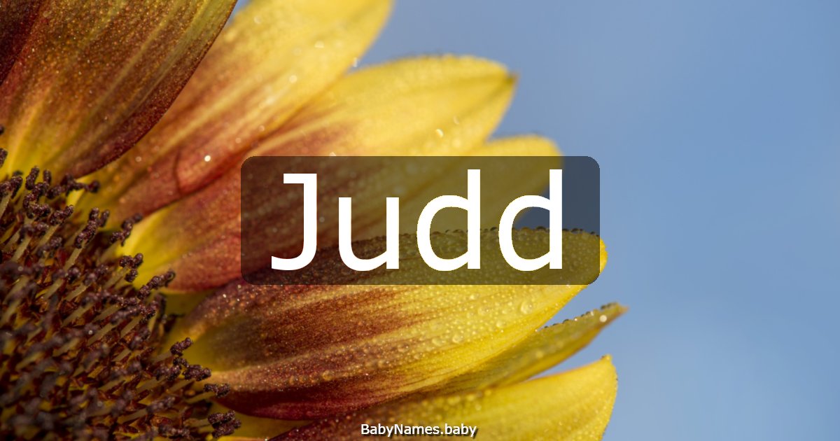 Judd