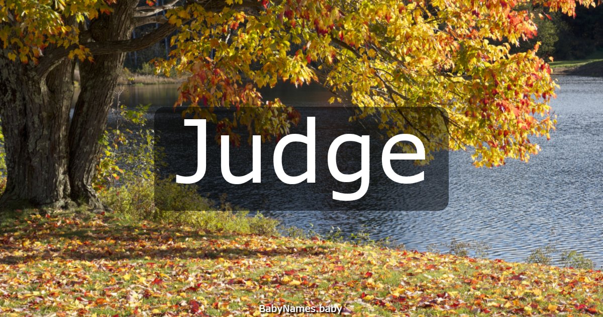 Judge