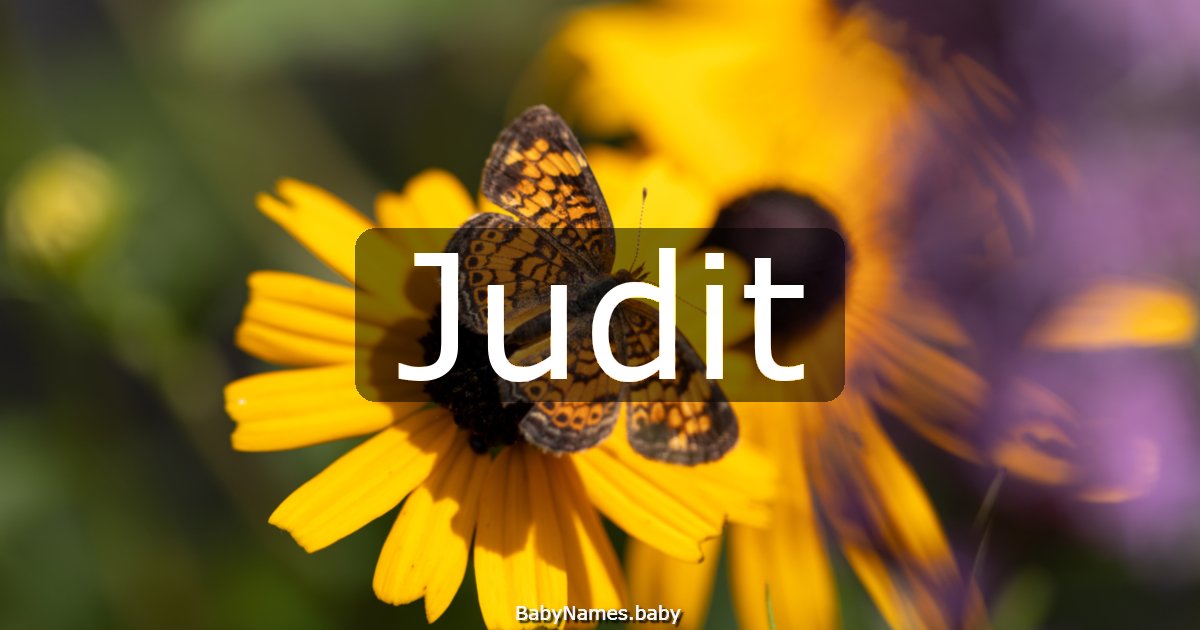 Judit