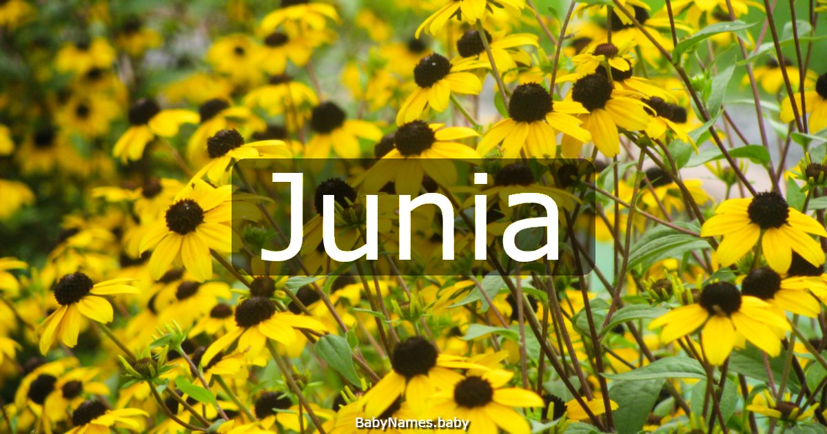 Junia