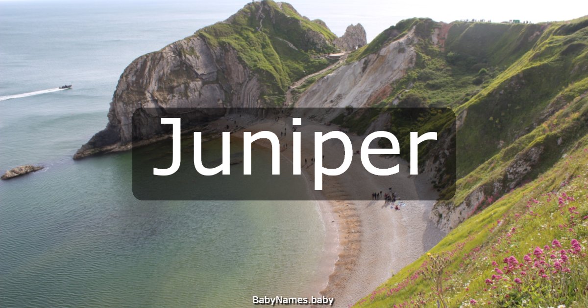 Juniper