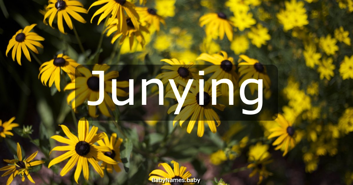 Junying