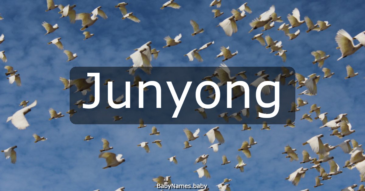 Junyong