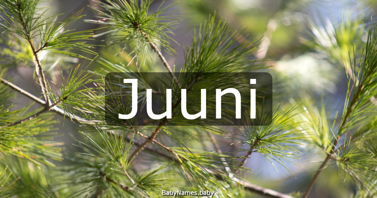 Juuni