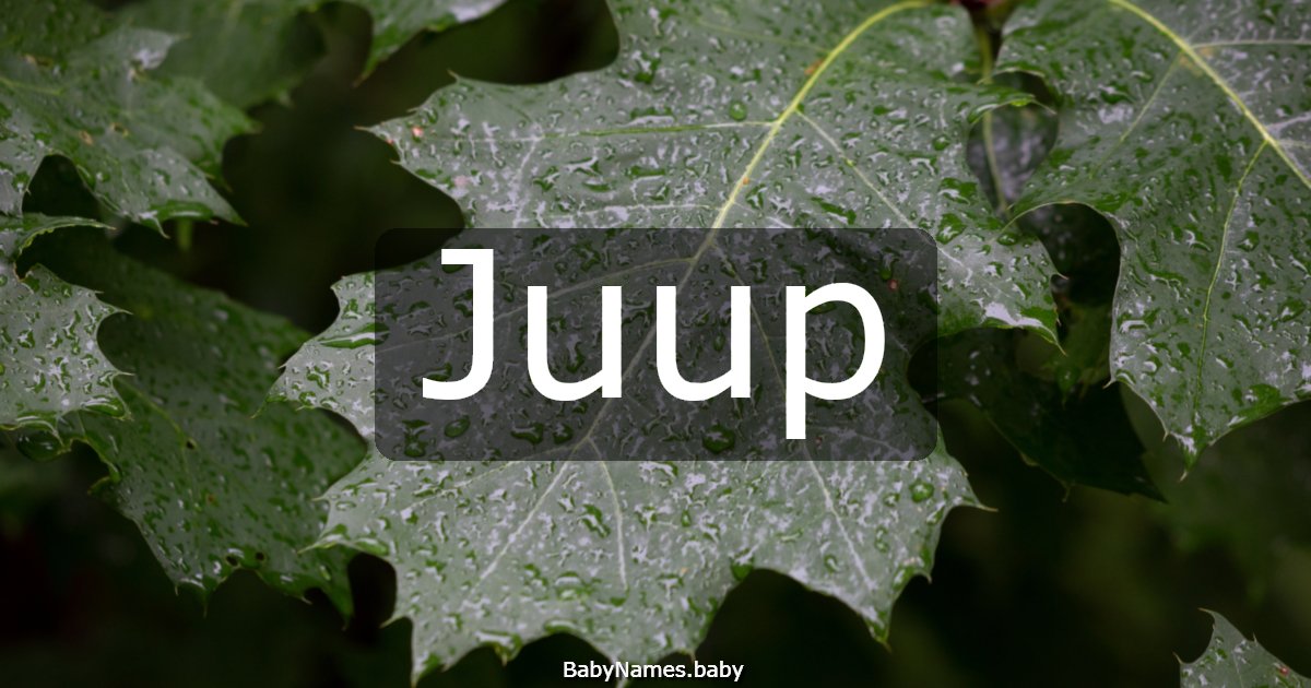 Juup