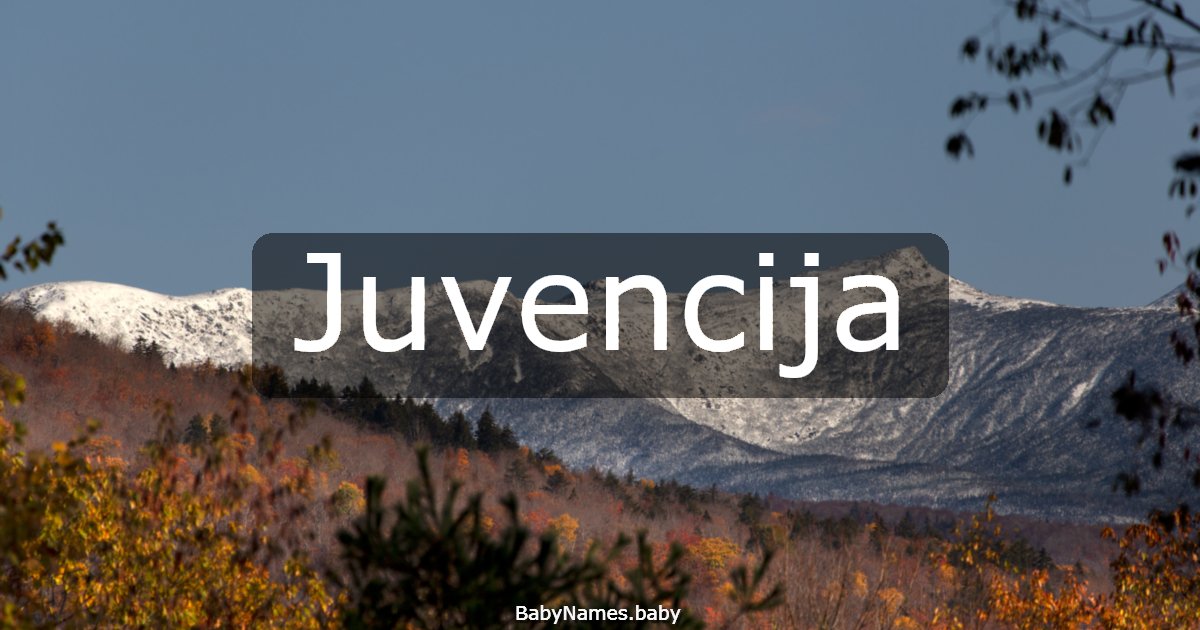Juvencija