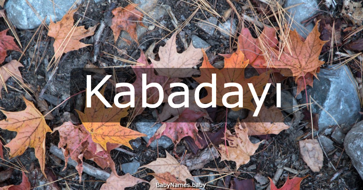 Kabadayı