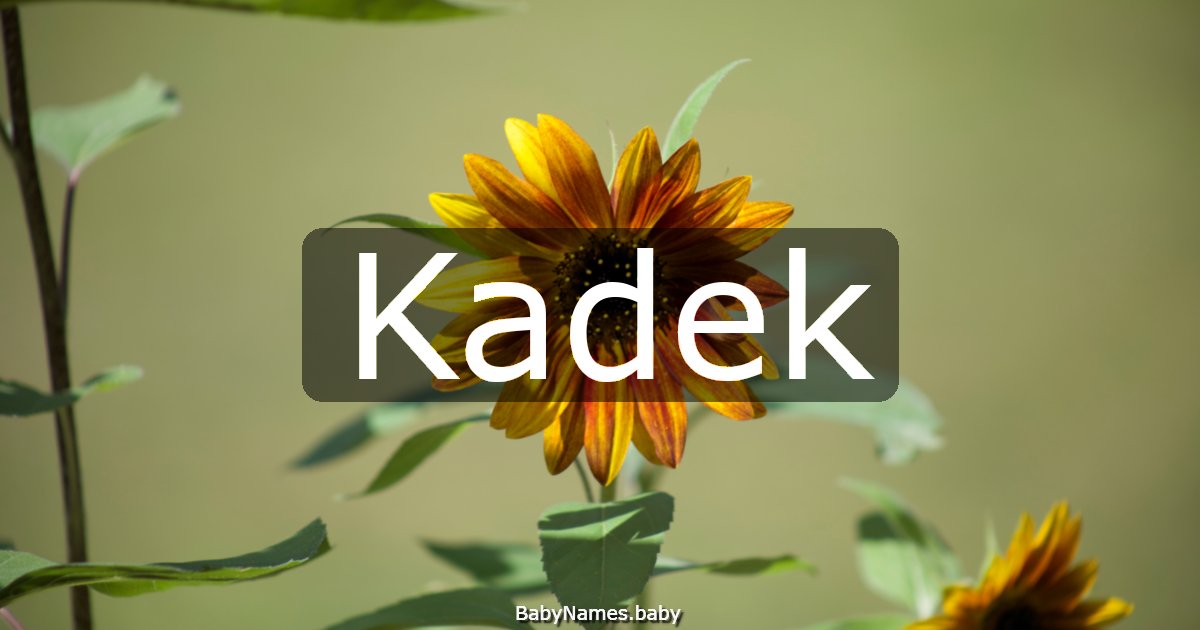 Kadek
