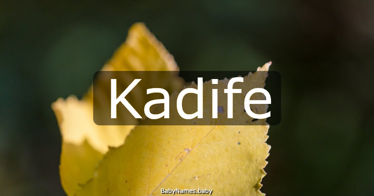 Kadife