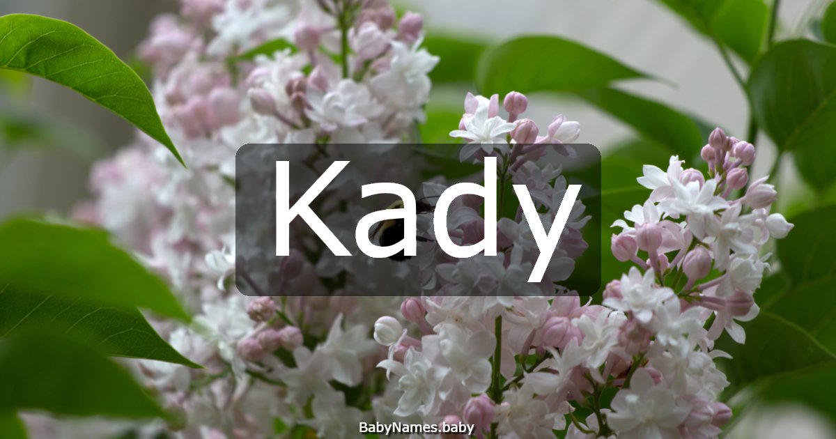 Kady