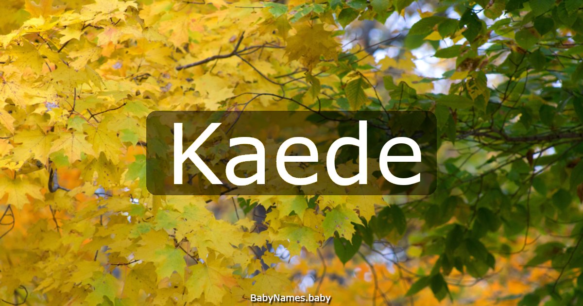 Kaede