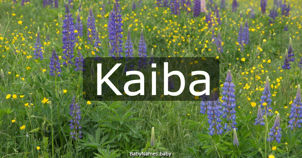 Kaiba