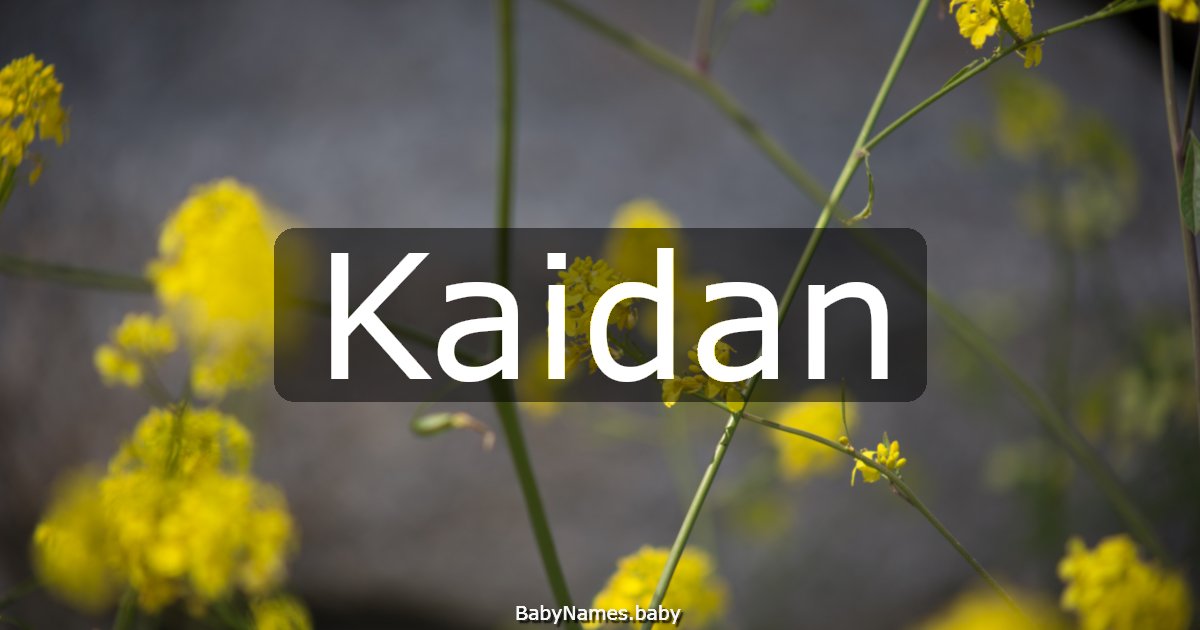 Kaidan