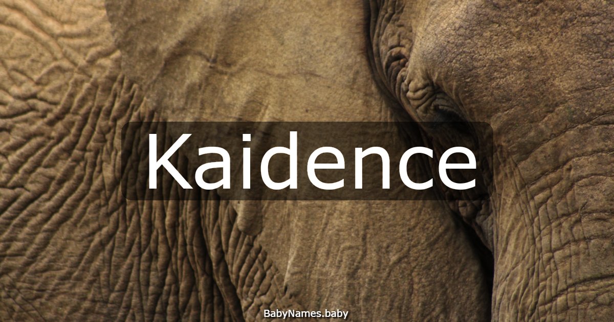 Kaidence