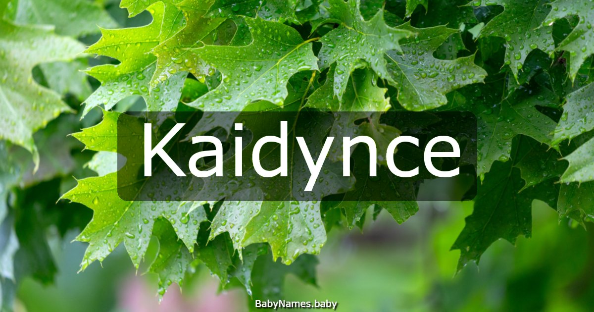 Kaidynce
