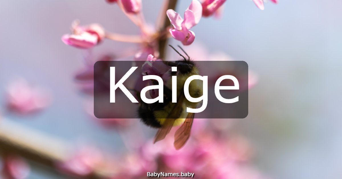Kaige