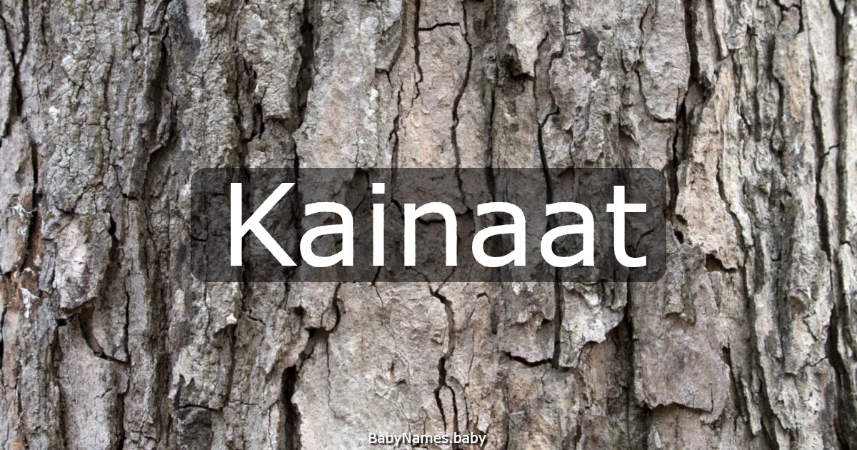 Kainaat