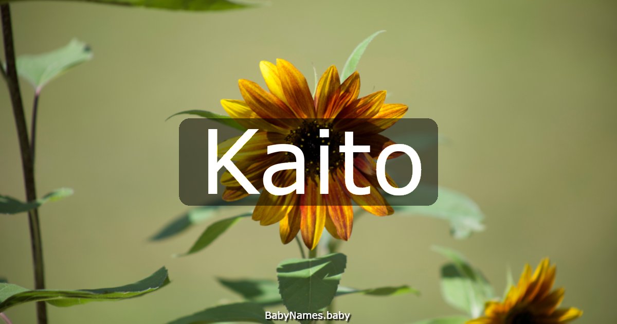 Kaito