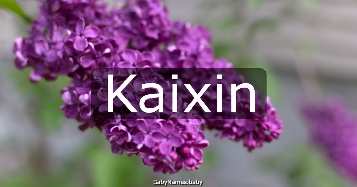 Kaixin