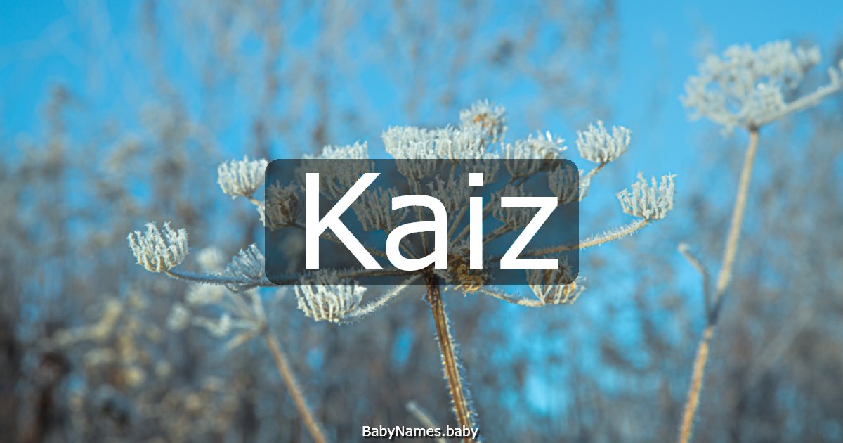 Kaiz