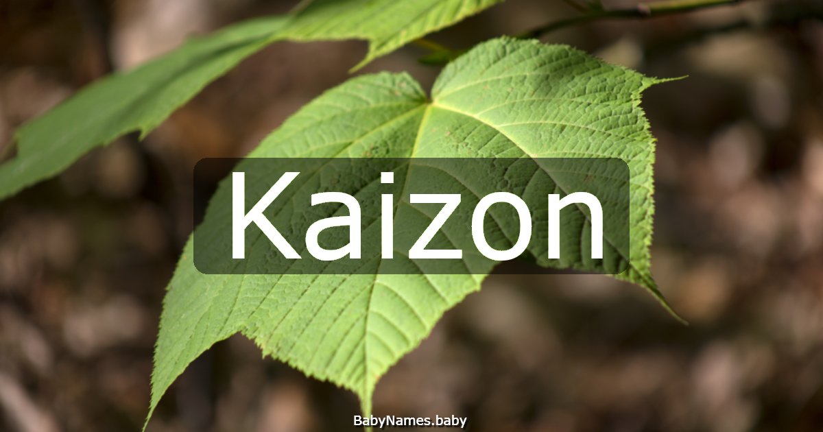 Kaizon