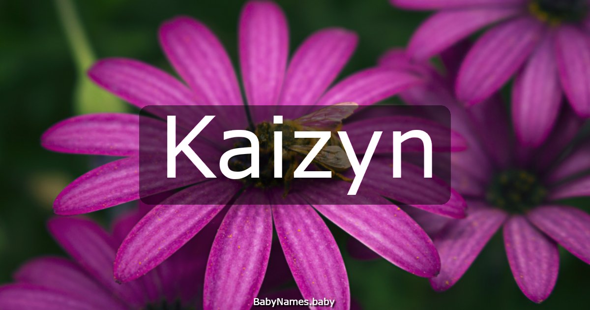 Kaizyn