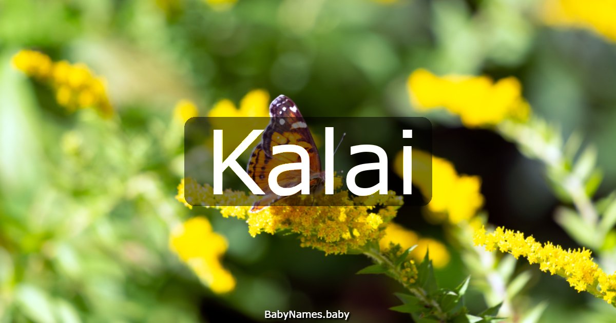 Kalai