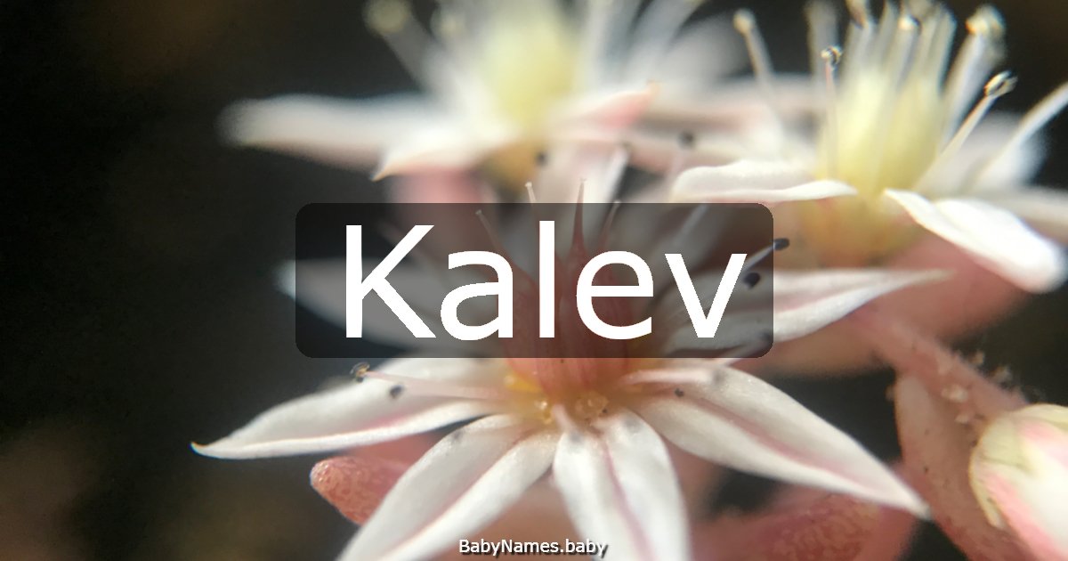 Kalev