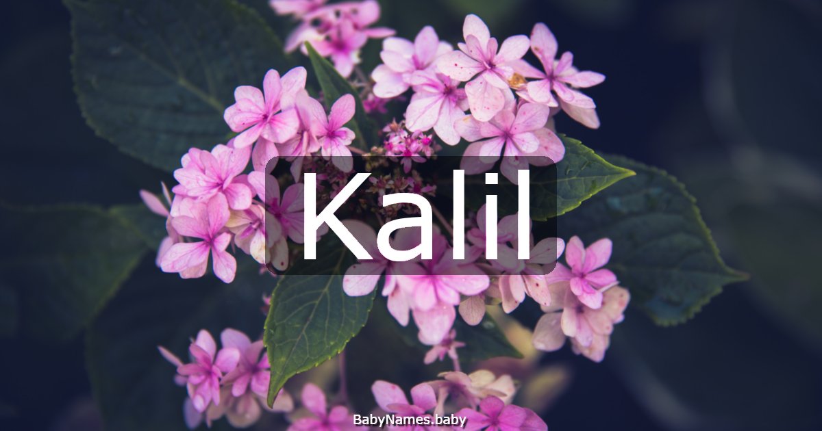 Kalil