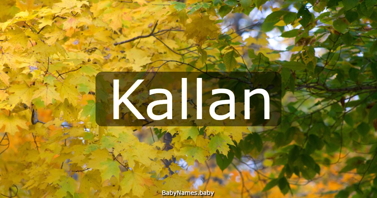 Kallan