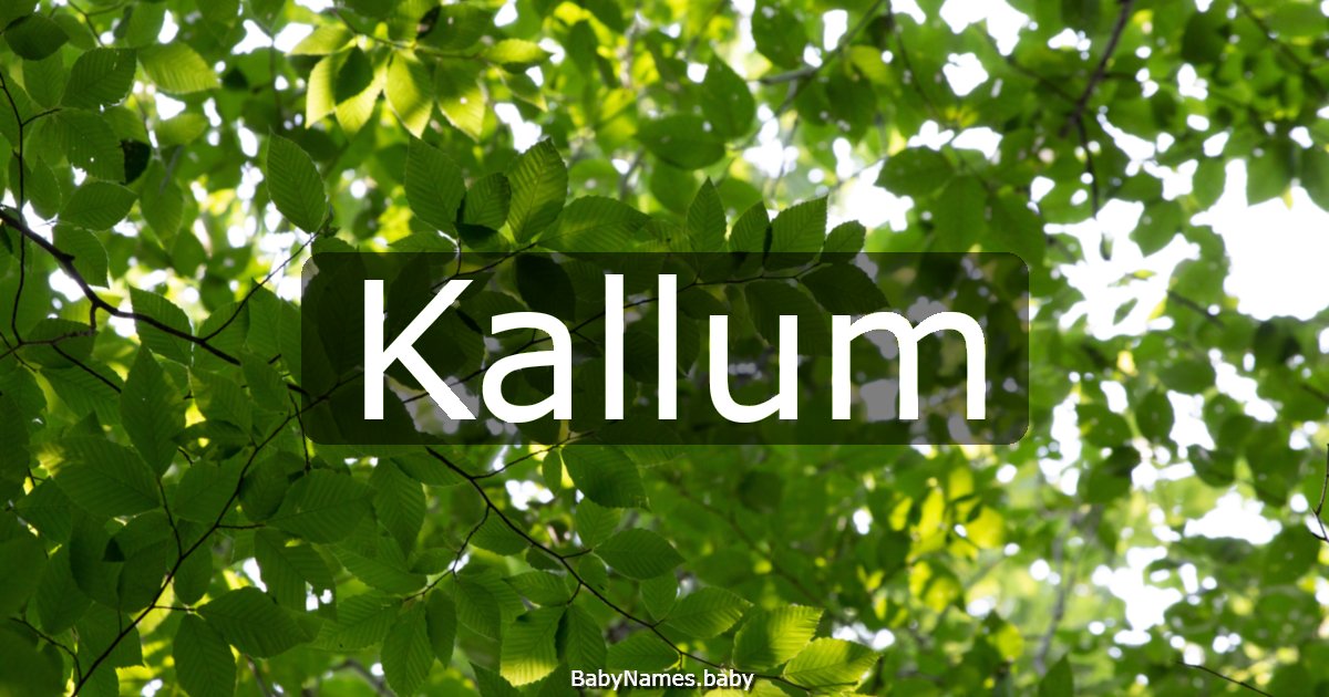Kallum