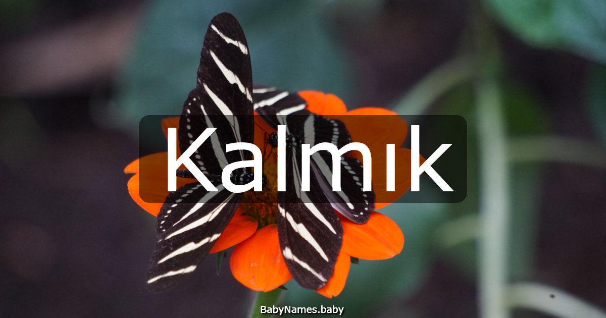 Kalmık