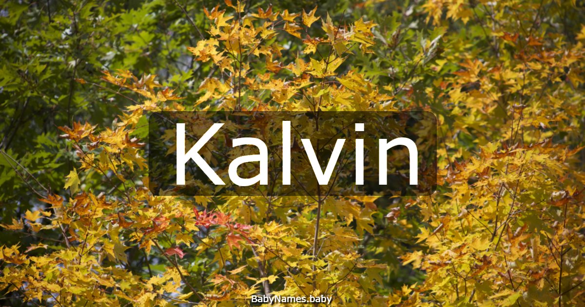 Kalvin