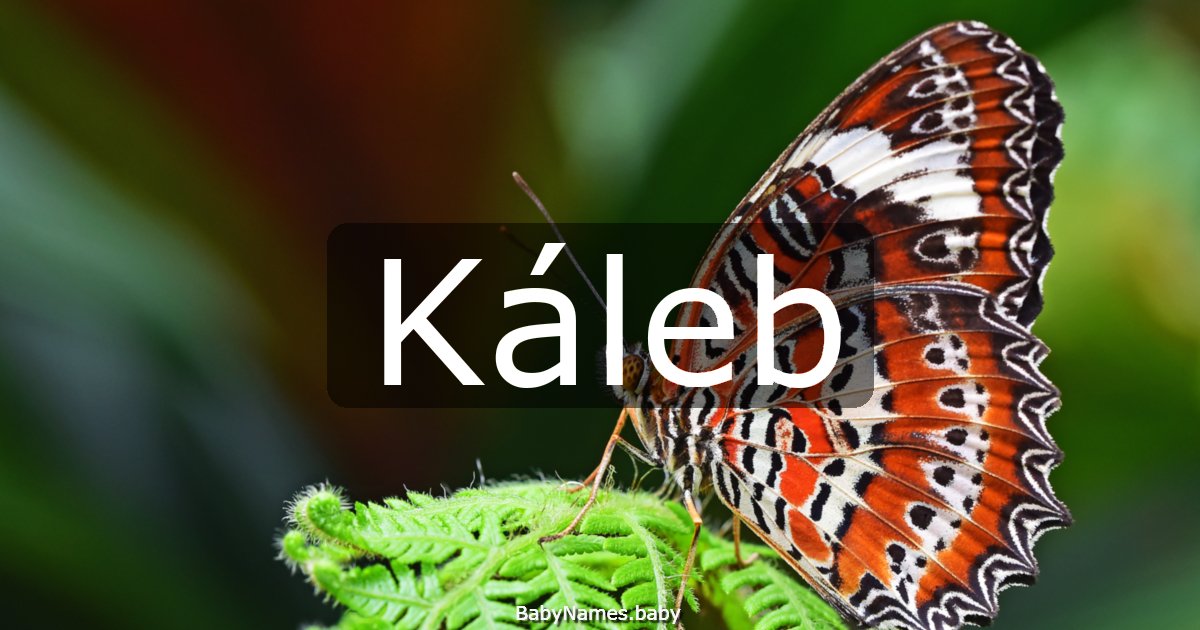 Káleb