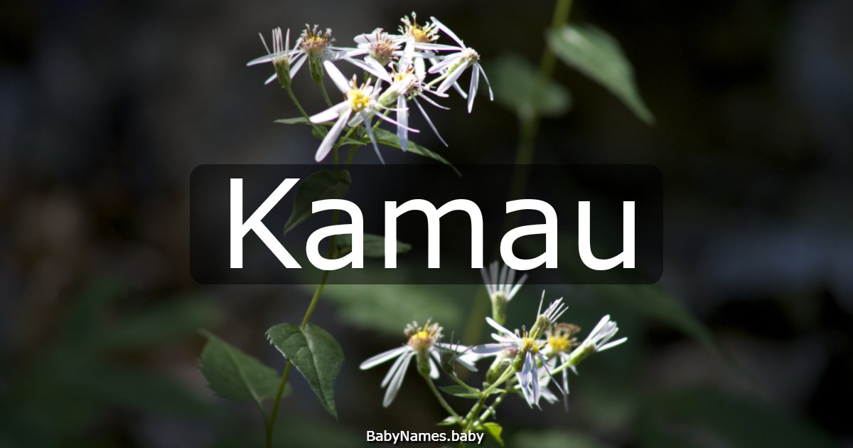 Kamau