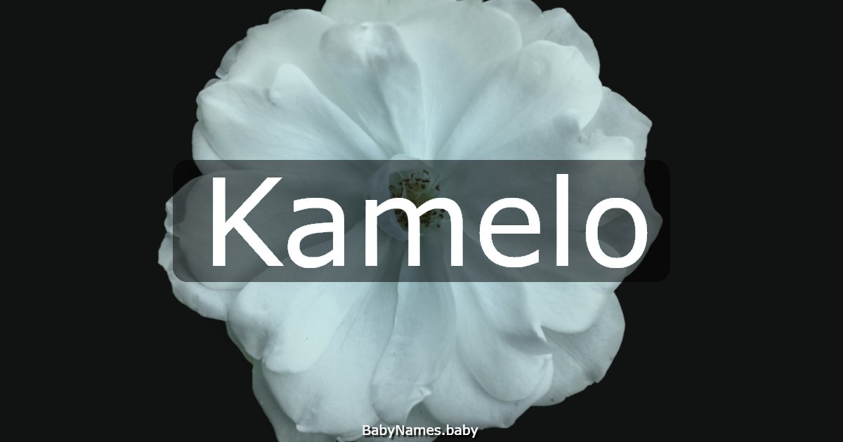 Kamelo