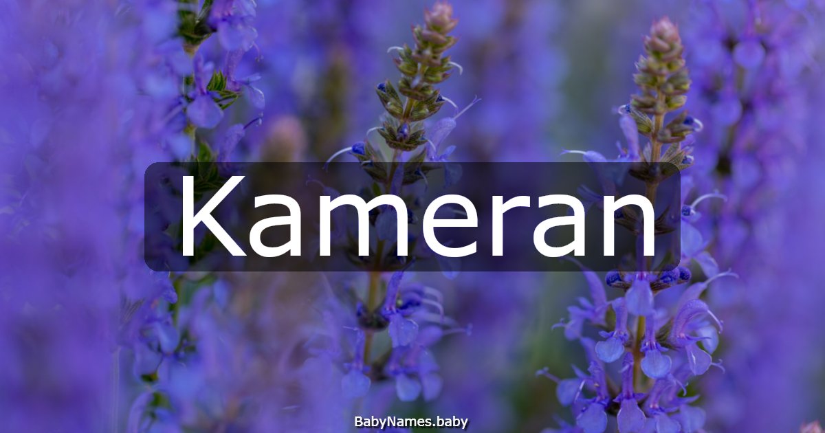 Kameran