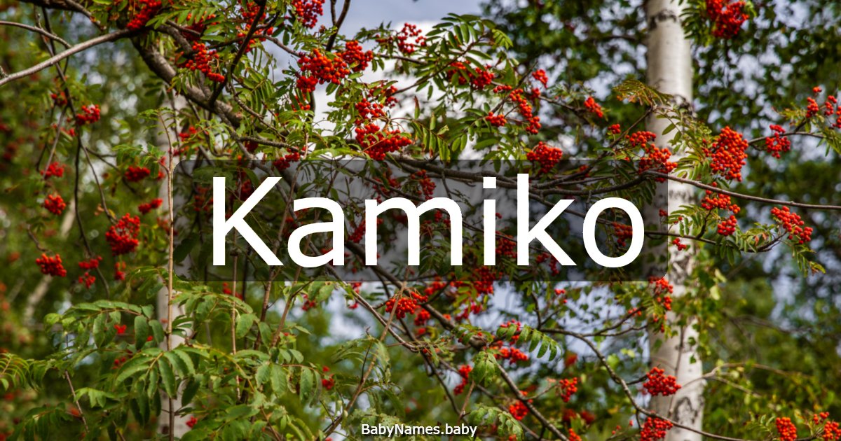 Kamiko