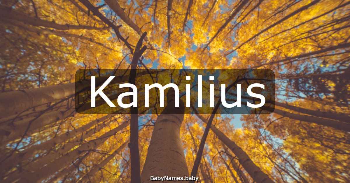 Kamilius