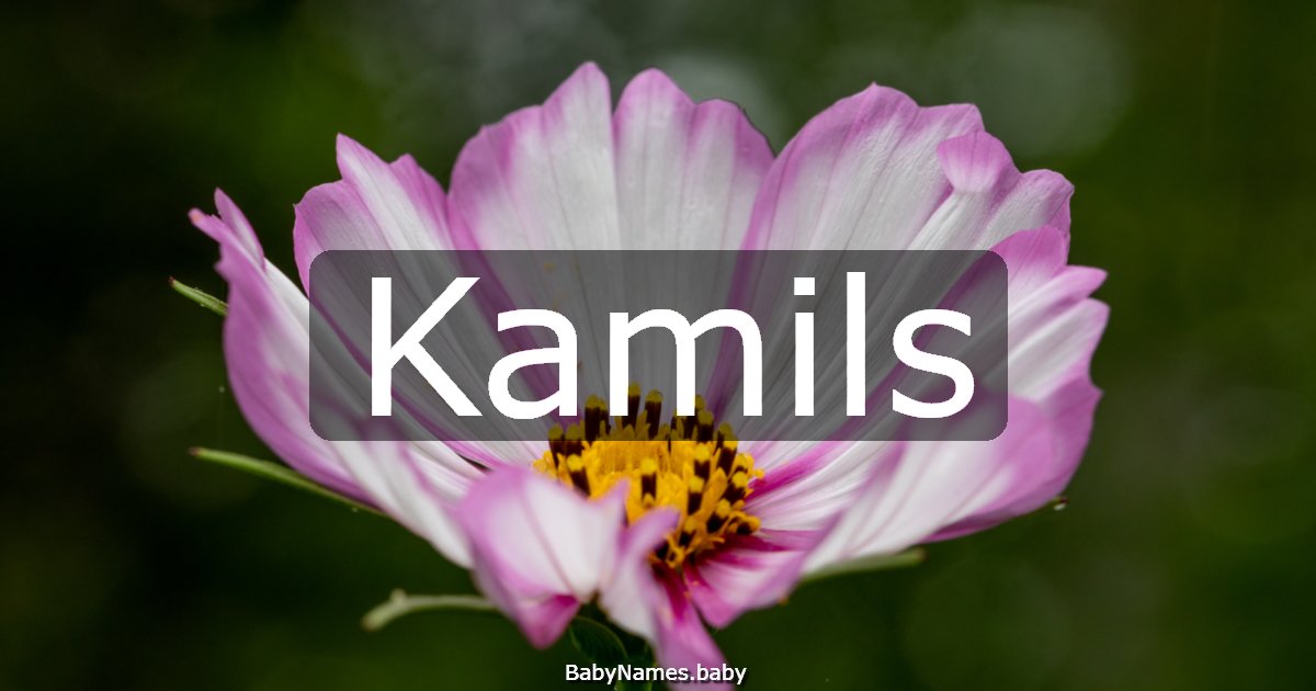 Kamils