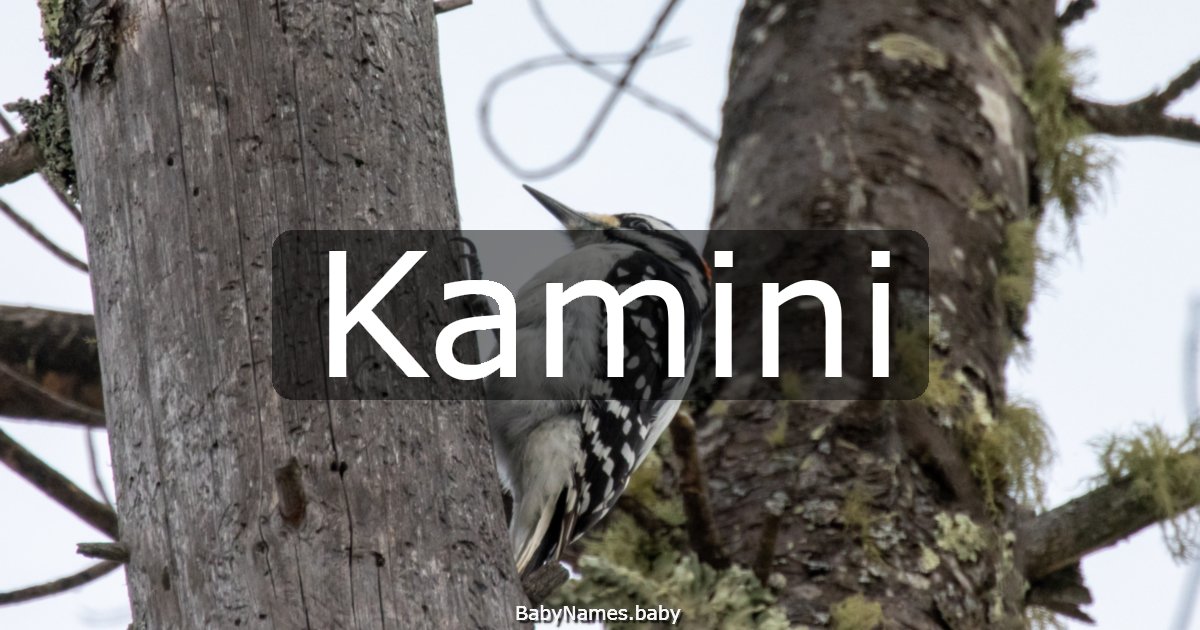 Kamini