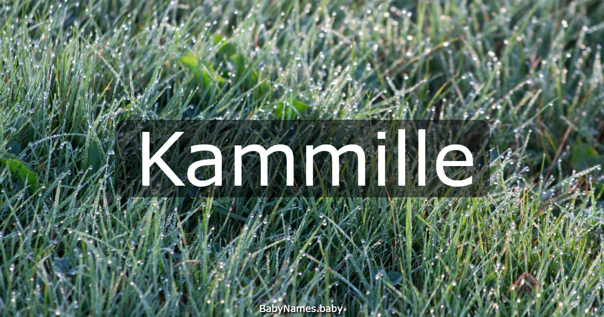 Kammille