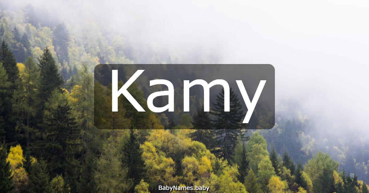 Kamy