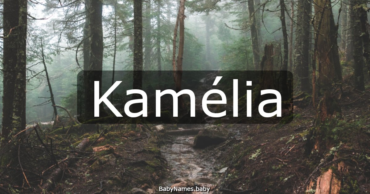 Kamélia