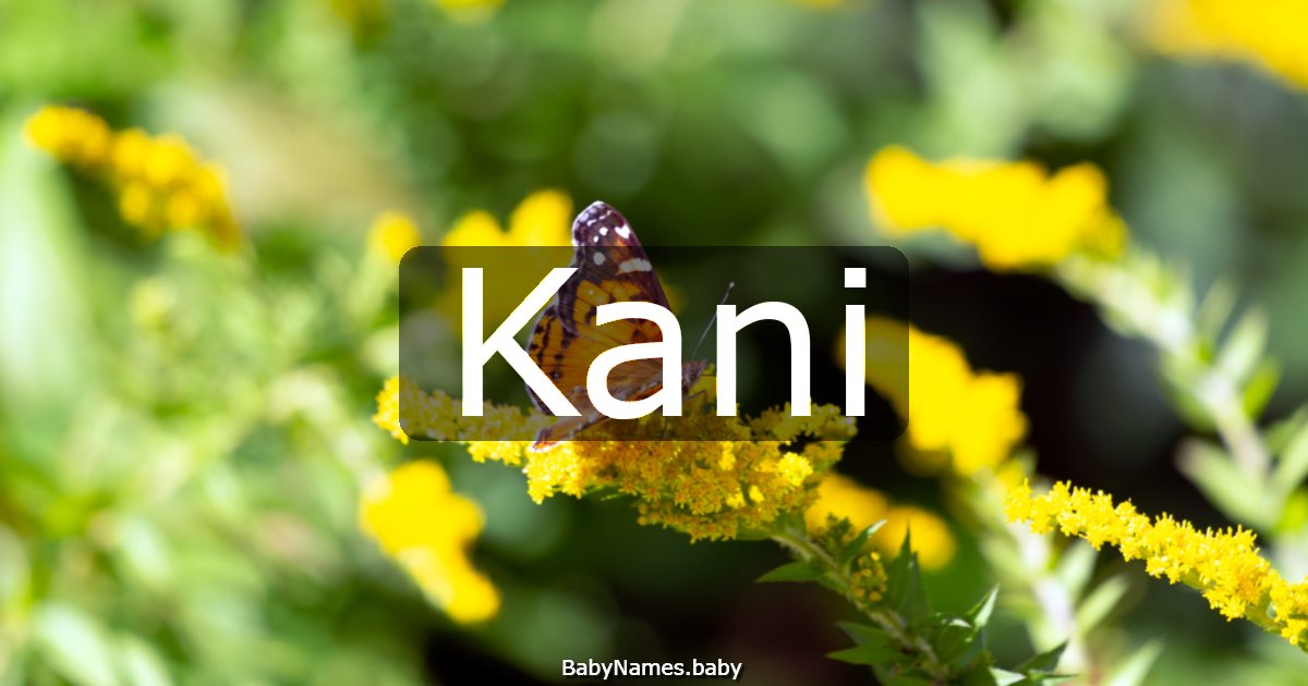 Kani