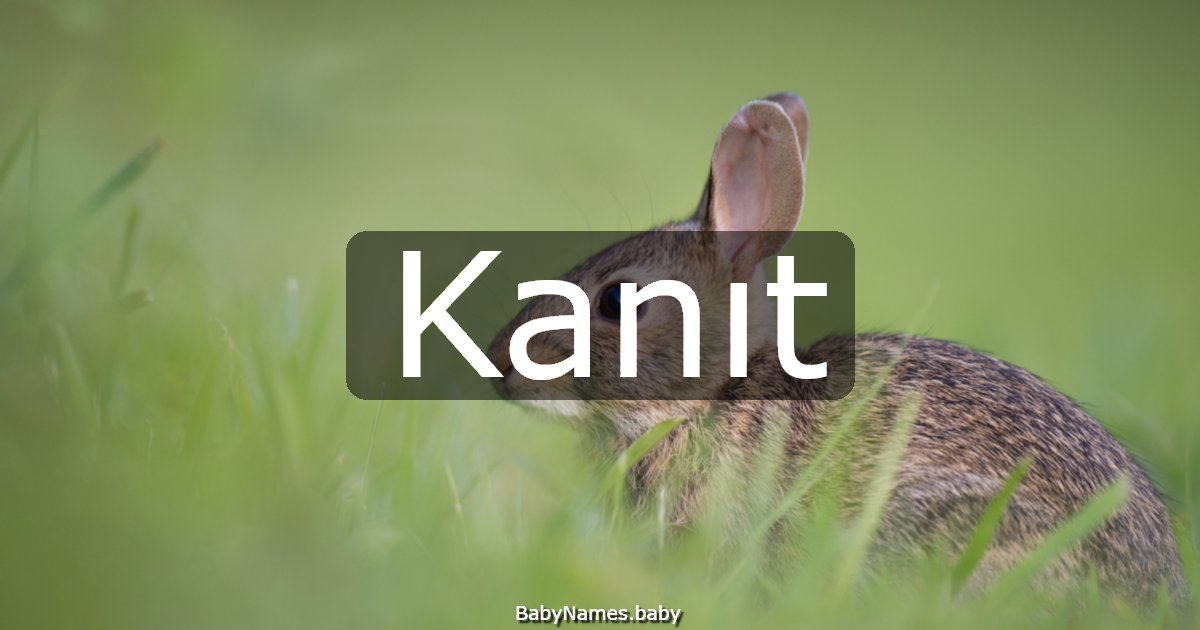 Kanıt