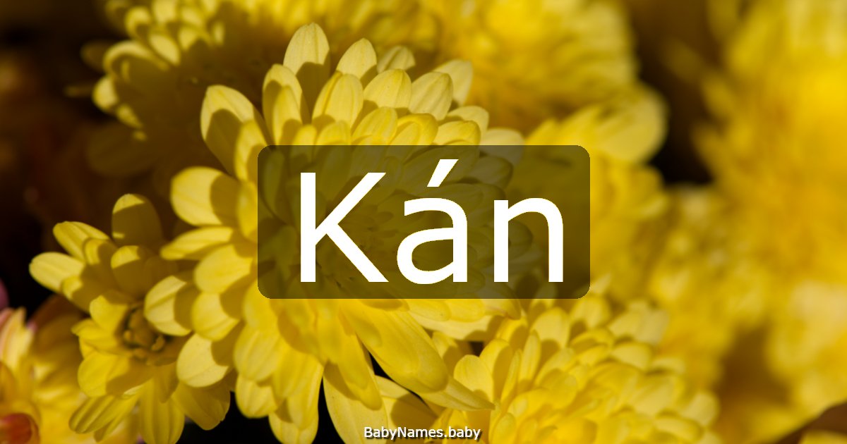 Kán