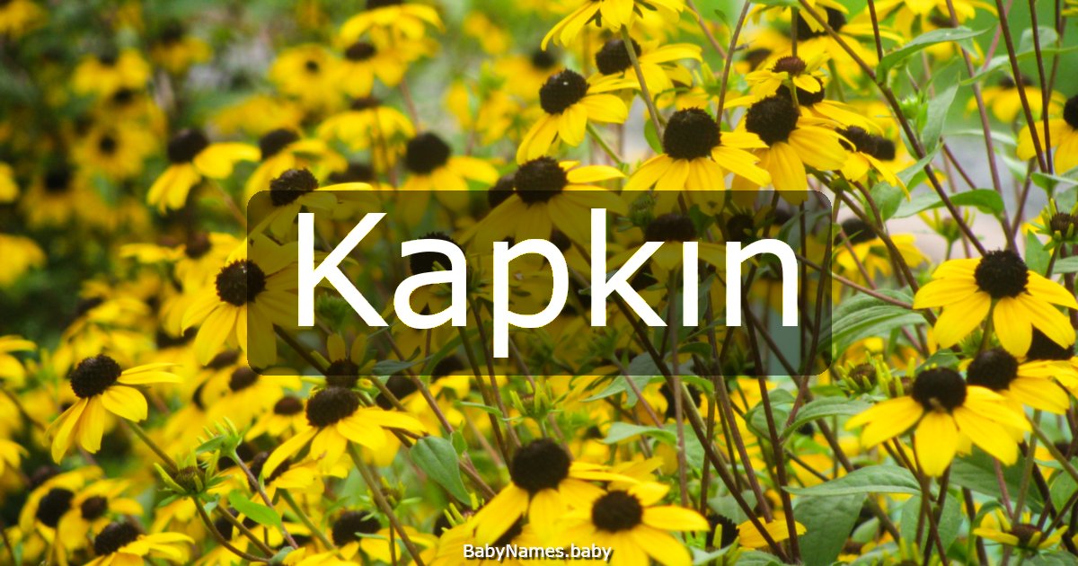 Kapkın
