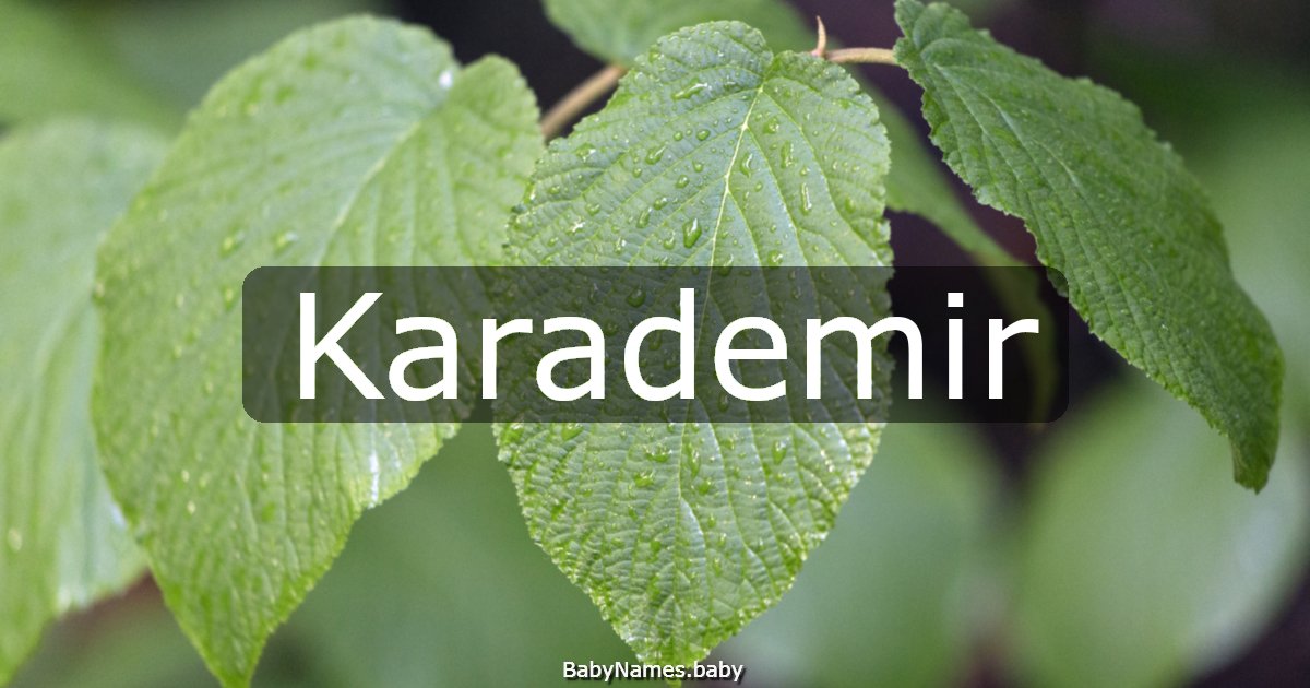 Karademir